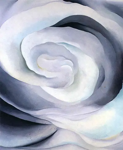 Abstraction White Rose Georgia O'Keeffe